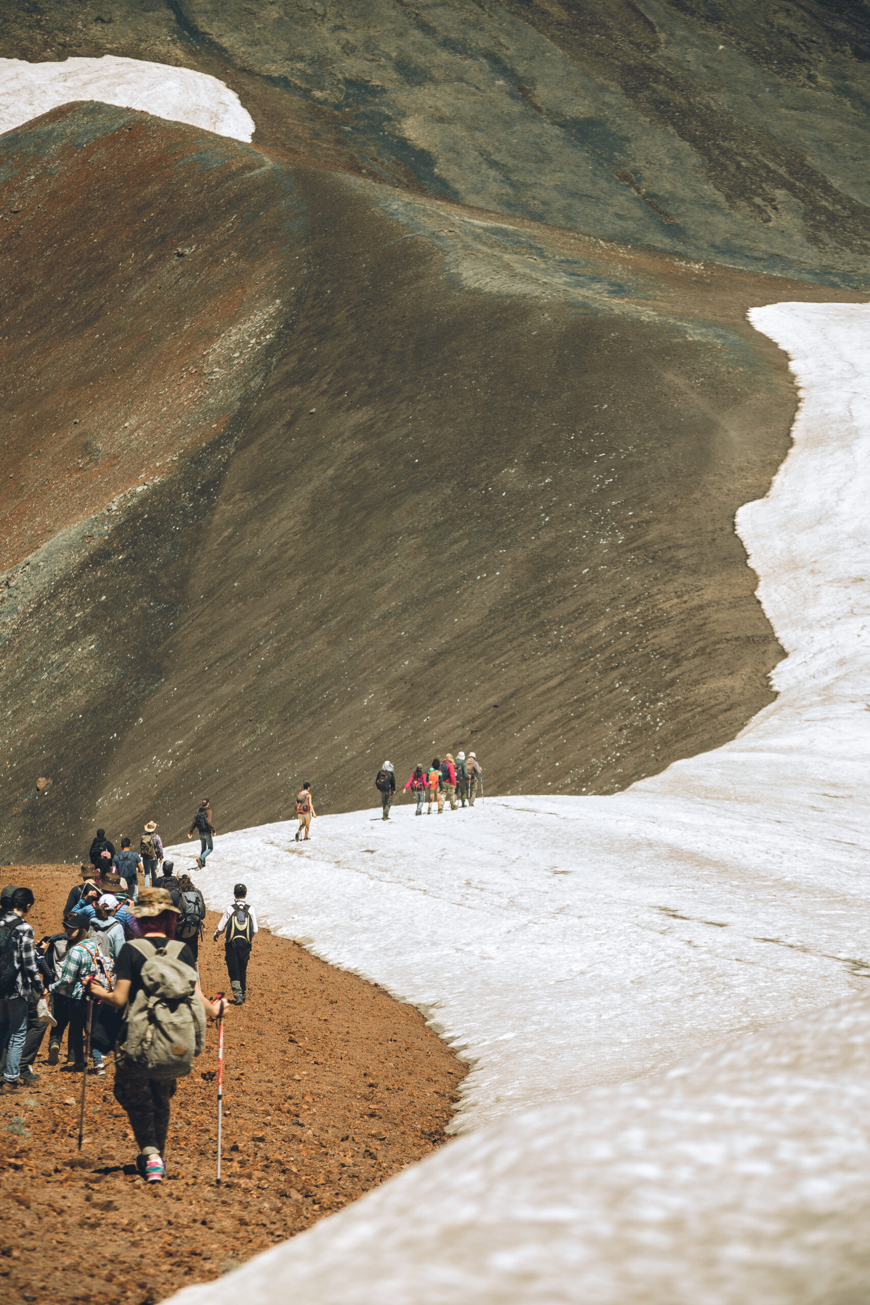 Best Time to Visit Chopta Uttarakhand: A Seasonal Travel Guide